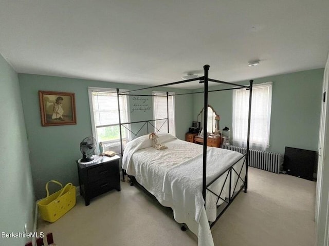 56-58 N Summer St, Adams, MA 01220 - bedroom featuring radiator heating unit and light colored carpet