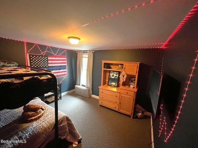 56-58 N Summer St, Adams, MA 01220 - bedroom featuring radiator, carpet flooring, and baseboards