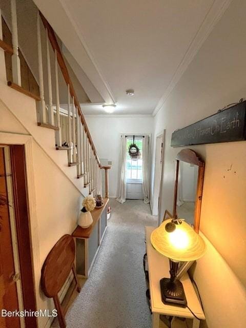 56-58 N Summer St, Adams, MA 01220 - corridor featuring ornamental molding, carpet flooring, and stairs