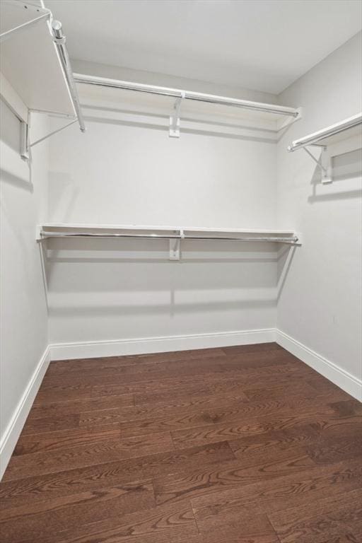 walk in closet with wood finished floors