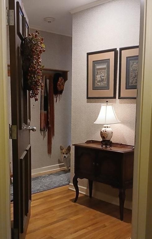 hallway with light wood-style flooring