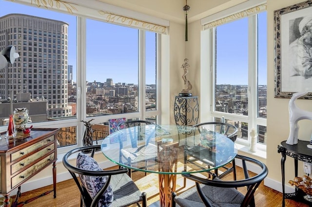 dining room featuring baseboards, a city view, and wood finished floors