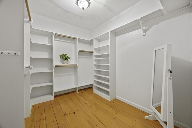 spacious closet featuring hardwood / wood-style flooring