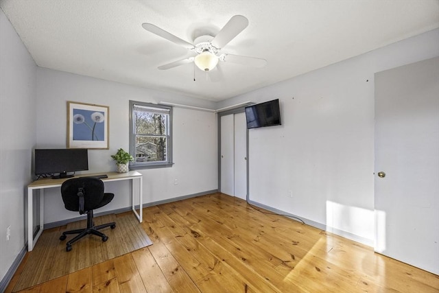 office featuring ceiling fan and light hardwood / wood-style flooring