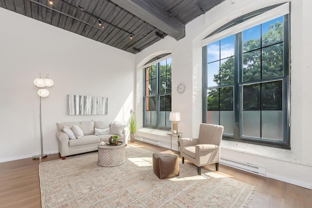 sitting room with a baseboard radiator, wood finished floors, and track lighting