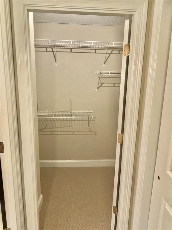 1500 Worcester Rd Unit 631, Framingham, MA 01702 - walk in closet featuring carpet flooring