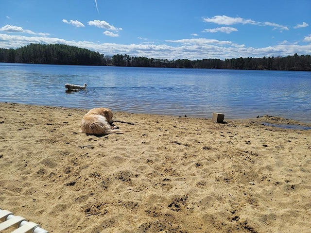31-33 Mathews Dr, Wayland, MA 01778 - water view