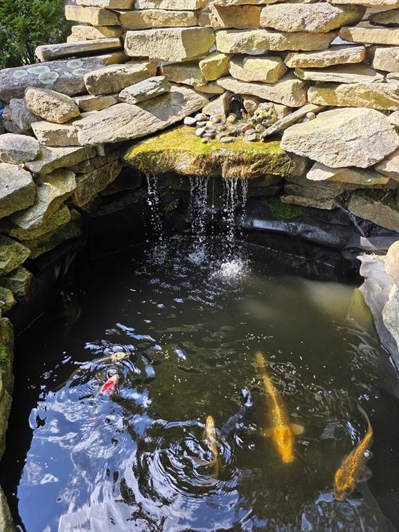 31-33 Mathews Dr, Wayland, MA 01778 - exterior view of a garden pond