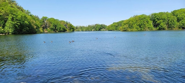 31-33 Mathews Dr, Wayland, MA 01778 - water view featuring a heavily wooded area