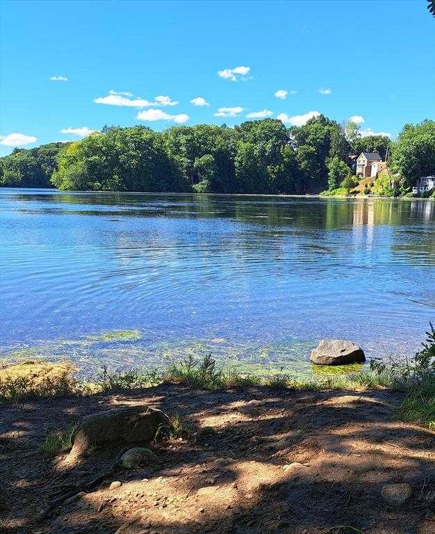 31-33 Mathews Dr, Wayland, MA 01778 - water view with a forest