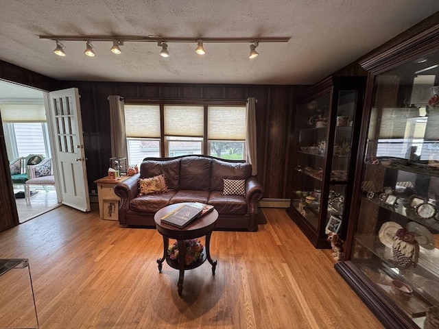 23 Harvard Cir, Needham, MA 02494 - living area featuring rail lighting, plenty of natural light, light wood-type flooring, and a baseboard radiator