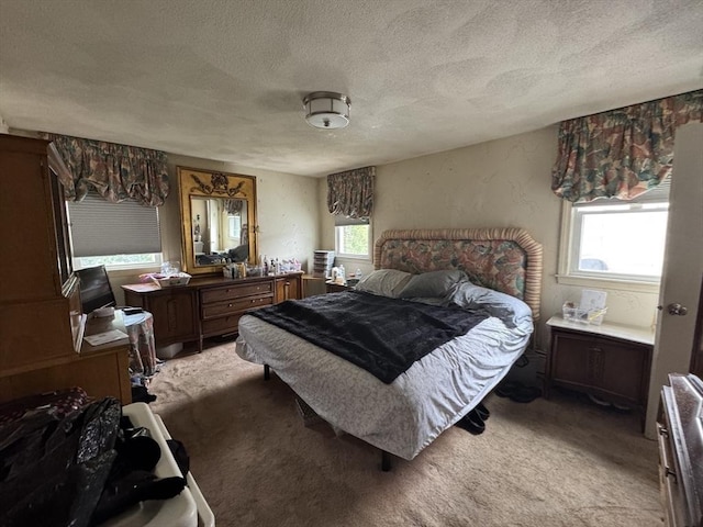23 Harvard Cir, Needham, MA 02494 - bedroom with a textured ceiling and light colored carpet