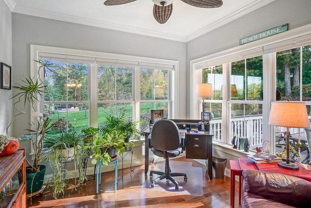 home office with plenty of natural light, a ceiling fan, crown molding, and wood finished floors