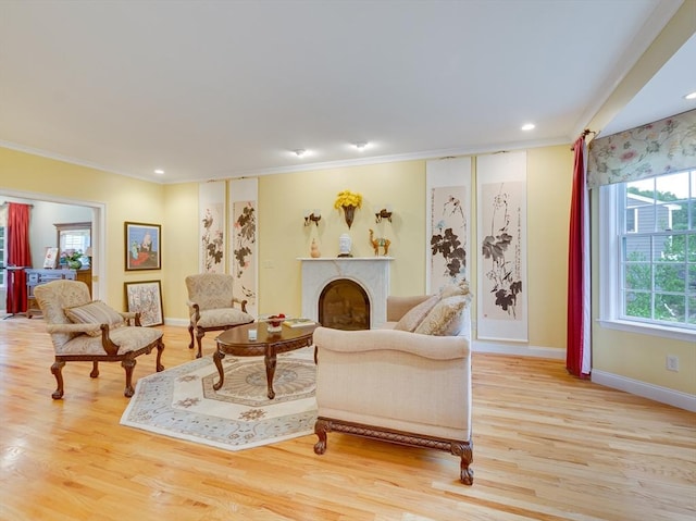 14 Nassau Dr, Winchester, MA 01890 - living room featuring light wood-style flooring, crown molding, a fireplace, and baseboards