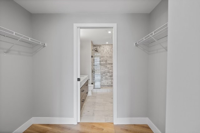 spacious closet featuring wood-type flooring