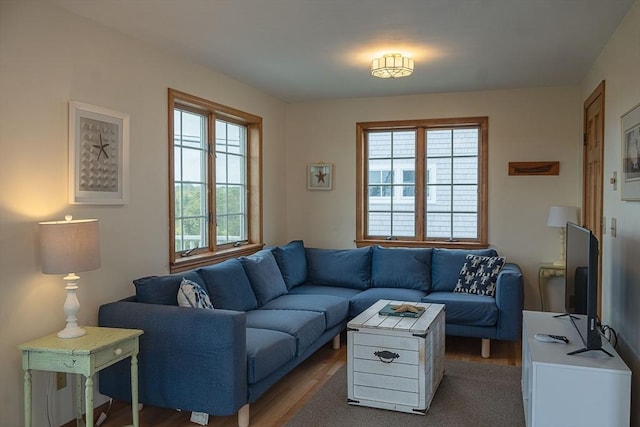 99 N Shore Blvd Unit 1, Sandwich, MA 02537 - living room with wood finished floors and plenty of natural light