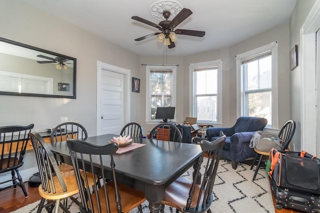 dining area with hardwood / wood-style floors and ceiling fan