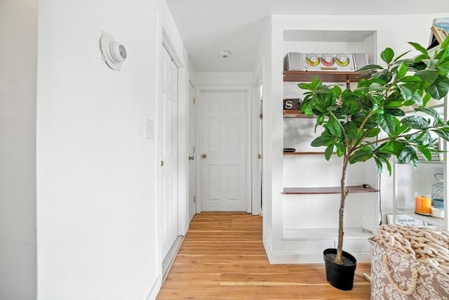 80 Main St Unit 20, Malden, MA 02148 - hallway with light wood-type flooring