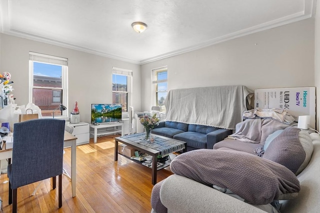 living area featuring ornamental molding and light wood finished floors