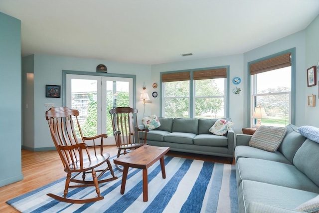 living room featuring wood-type flooring