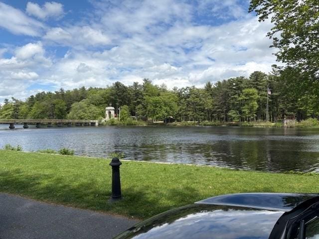 186 Chapel St, Abington, MA 02351 - water view with a heavily wooded area