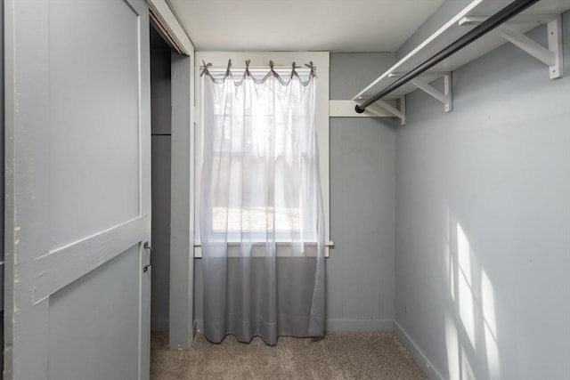 walk in closet with carpet