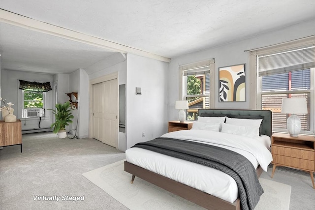 14 Franklin Ter, Boston, MA 02136 - bedroom with a baseboard radiator, multiple windows, and light carpet