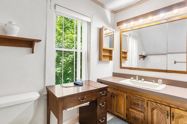 14 Franklin Ter, Boston, MA 02136 - bathroom with vanity, crown molding, and tile patterned flooring
