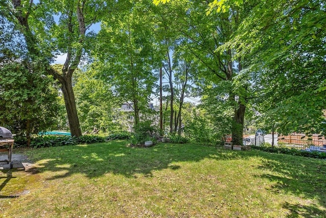 14 Franklin Ter, Boston, MA 02136 - view of green lawn