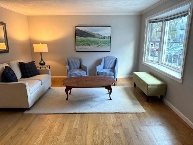 living room with crown molding and light wood-type flooring