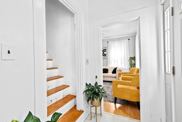 stairs with a wealth of natural light and wood finished floors