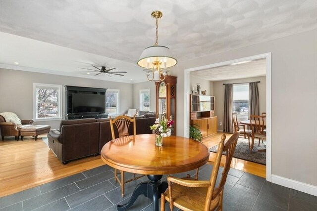 2 Spencer Way, Merrimac, MA 01860 - dining room featuring baseboards, ceiling fan, a healthy amount of sunlight, and dark wood-type flooring