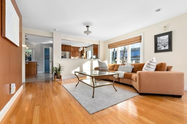 18 Hawkswood Ests Unit 18, Amesbury, MA 01913 - living room featuring light wood finished floors and baseboards