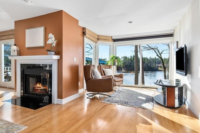 18 Hawkswood Ests Unit 18, Amesbury, MA 01913 - living area with wood-type flooring, a fireplace with flush hearth, baseboards, and plenty of natural light