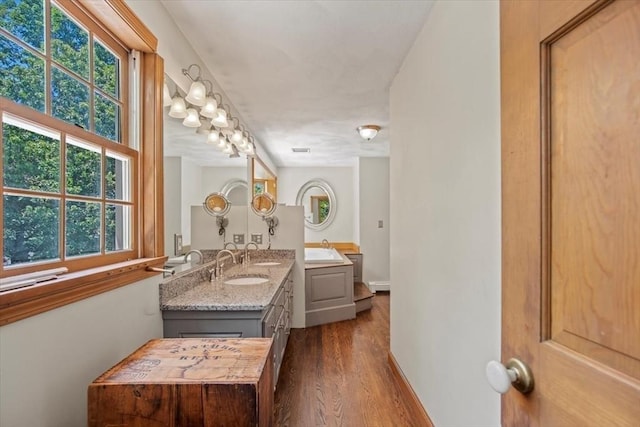 12 Coombs Cir, Newburyport, MA 01950 - bathroom featuring vanity, wood finished floors, and healthy amount of natural light