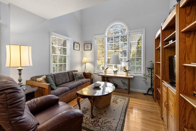 living room with light wood-type flooring