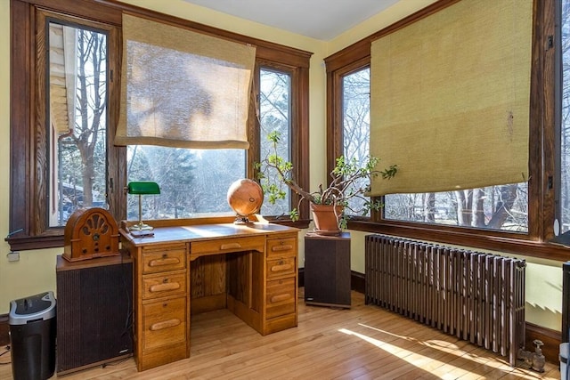 office area featuring radiator and light wood-style floors