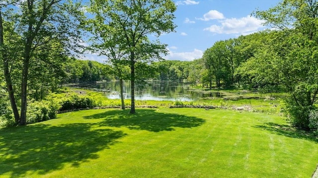 26 Longmeadow Dr, Westwood, MA 02090 - view of green lawn featuring a water view and a forest view