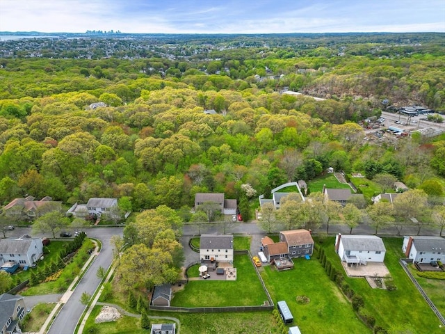 bird's eye view of a forest