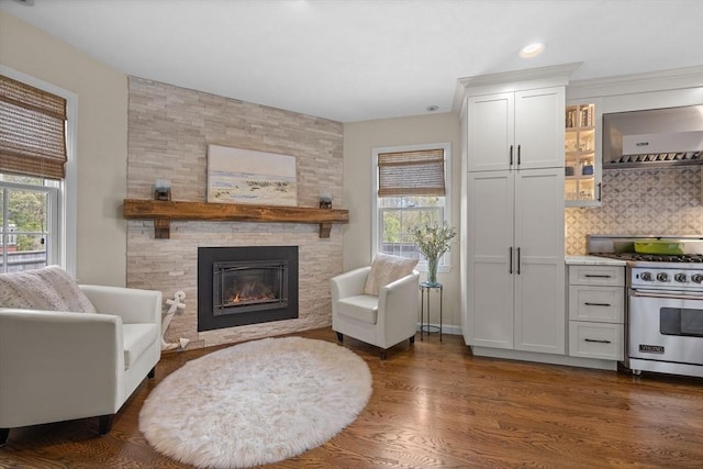 living area with healthy amount of natural light, a stone fireplace, and dark wood finished floors