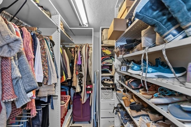 view of walk in closet