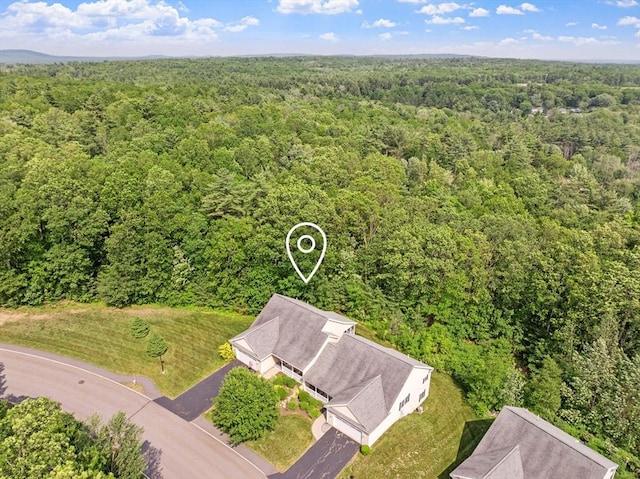 31 Shaker Hill Rd Unit 31, Hooksett, NH 03106 - aerial view of a forest