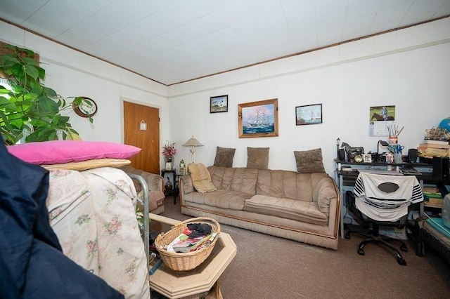 135 Elm St, Southbridge, MA 01550 - view of carpeted living room