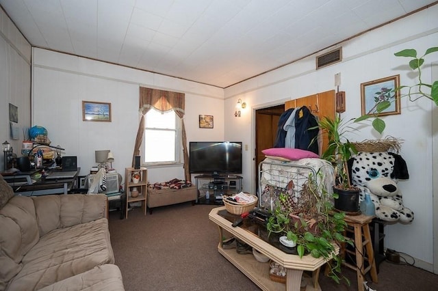 135 Elm St, Southbridge, MA 01550 - living area featuring carpet flooring