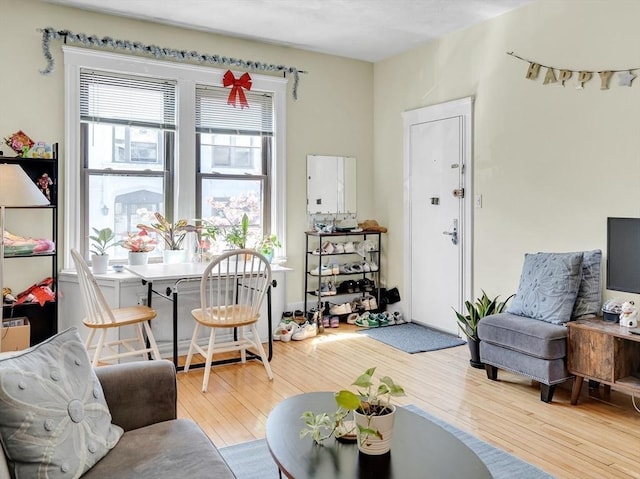 living area featuring hardwood / wood-style floors