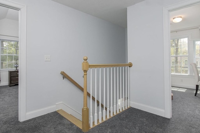 stairs with carpet flooring, baseboards, and healthy amount of natural light
