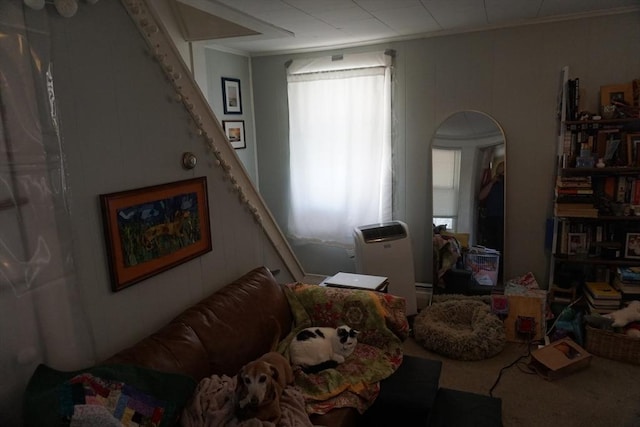 miscellaneous room with healthy amount of natural light, ornamental molding, and carpet floors