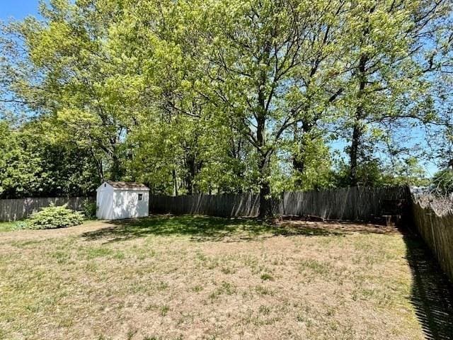view of yard featuring a storage shed and an outdoor structure