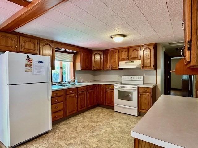 kitchen featuring white appliances, ventilation hood, brown cabinets, a sink, and light countertops