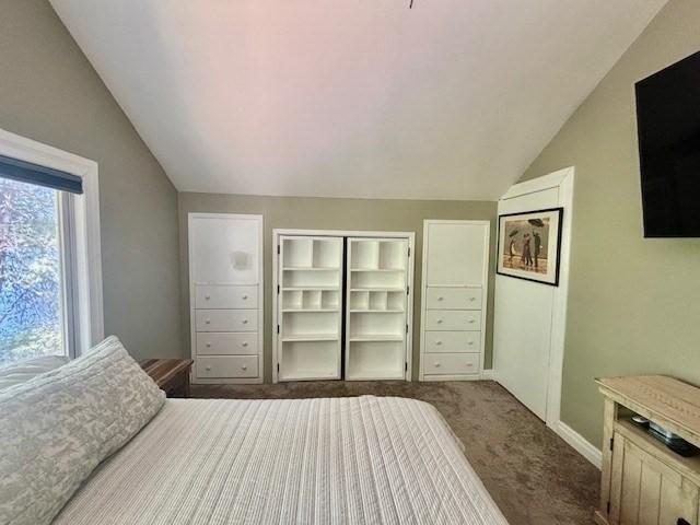 80 Populatic St, Franklin, MA 02038 - bedroom with vaulted ceiling, carpet floors, and a closet